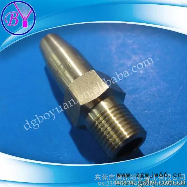 【专业供应】双孔切水针喷嘴/ 高压针形喷头 /红宝石钳体喷嘴图3