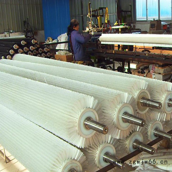 天向滚筒毛刷清扫器 旋转毛刷清扫器厂家图4