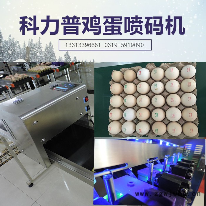 高速鸡蛋喷码机小型鸡蛋喷码机 整盘鸡蛋喷码机 6喷头鸡蛋喷码机科力普全自动鸡蛋喷码机图2