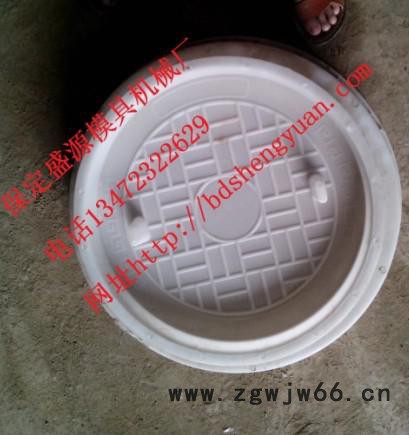供应盛源规格齐全下水道井盖塑料模具钢井盖模具价格