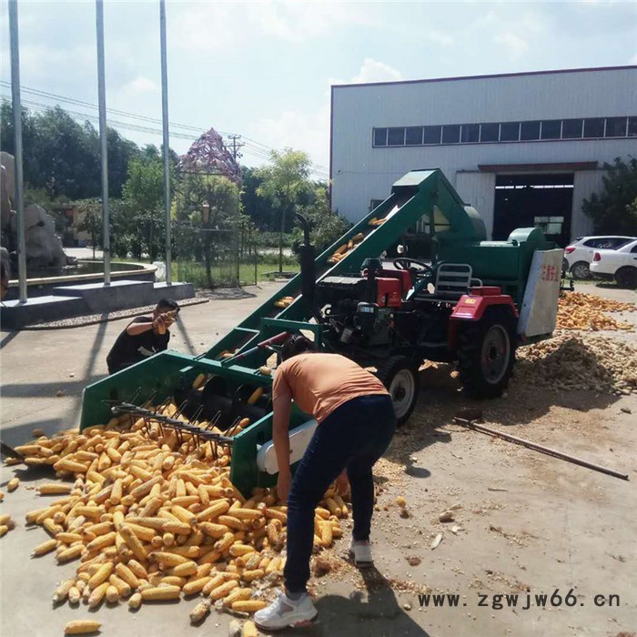 单滚筒脱粒机双鹰lf-229全自动玉米脱粒机 来厂观摩图6