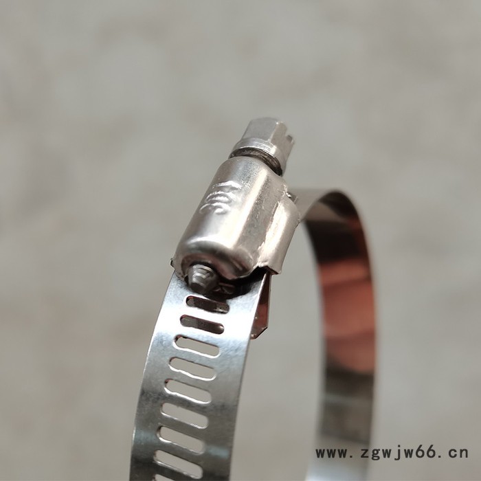 养猪塞盘料线设备 佰冠兴304不锈钢喉箍 卡箍  管夹  φ52-76图3