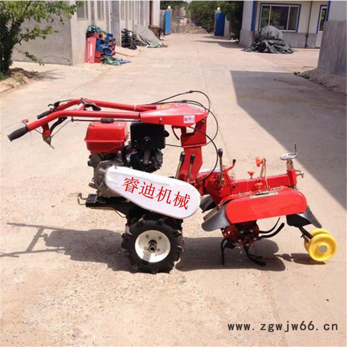 睿迪牌滚筒炒锅炒货机炒籽机 炒锅全自动滚筒炒货机图5