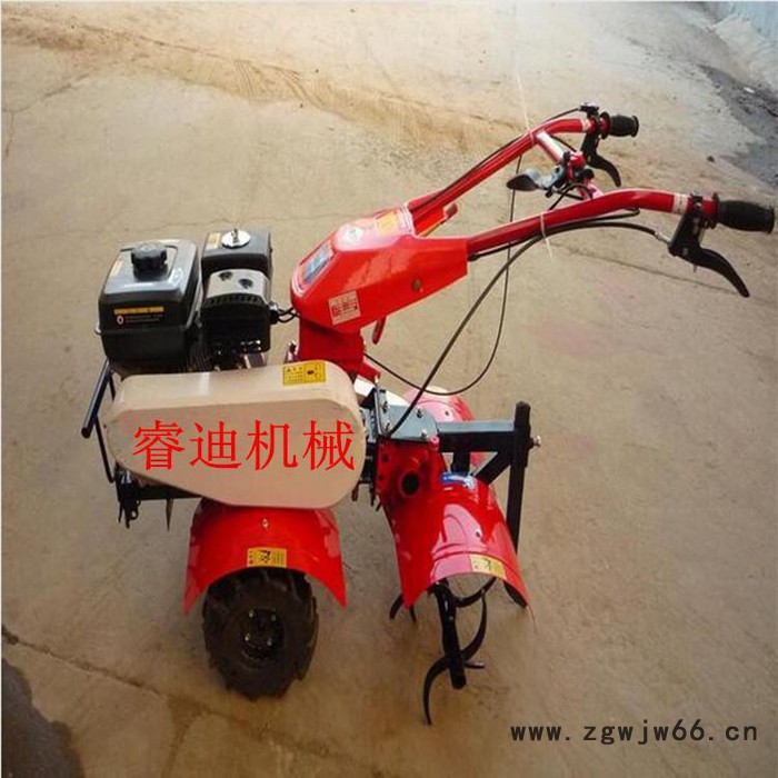 睿迪牌滚筒炒锅炒货机炒籽机 炒锅全自动滚筒炒货机图2