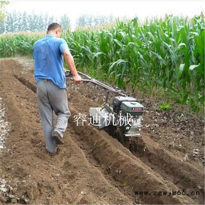 睿迪牌滚筒炒锅炒货机炒籽机 炒锅全自动滚筒炒货机图8