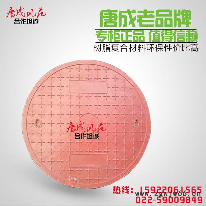 井盖公园绿化下沉式SMC树脂草坪井草盆圆形井盖700*130*30图2