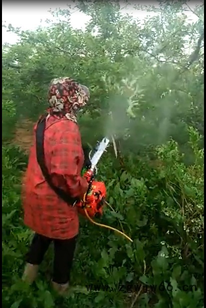 百亨牌YS-1小型远程输送可软连接直喷7喷头风送式水雾机 弥雾机打药机喷雾机图8