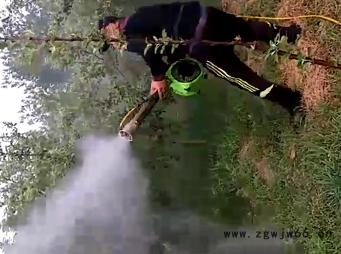 百亨牌YS-1小型远程输送可软连接直喷7喷头风送式水雾机 弥雾机打药机喷雾机图2