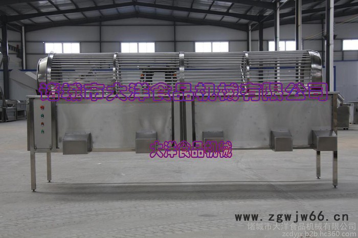 大洋牌全自动滚筒式板栗筛选设备 经济实惠的不锈钢分级机图4