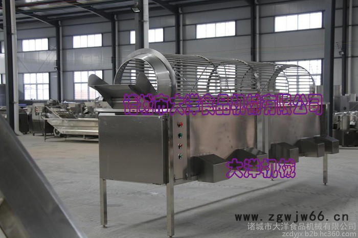 大洋牌全自动滚筒式板栗筛选设备 经济实惠的不锈钢分级机图5