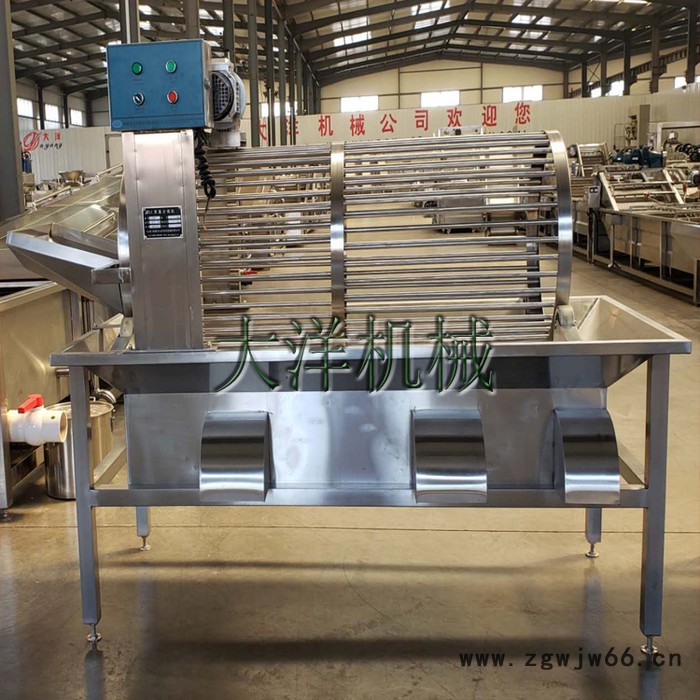 大洋牌全自动滚筒式板栗筛选设备 经济实惠的不锈钢分级机图8
