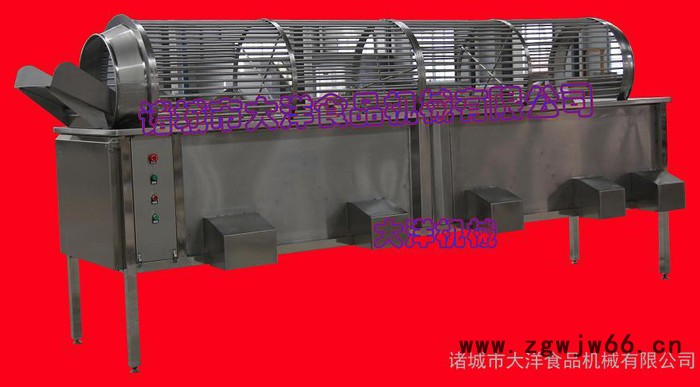 大洋牌全自动滚筒式板栗筛选设备 经济实惠的不锈钢分级机