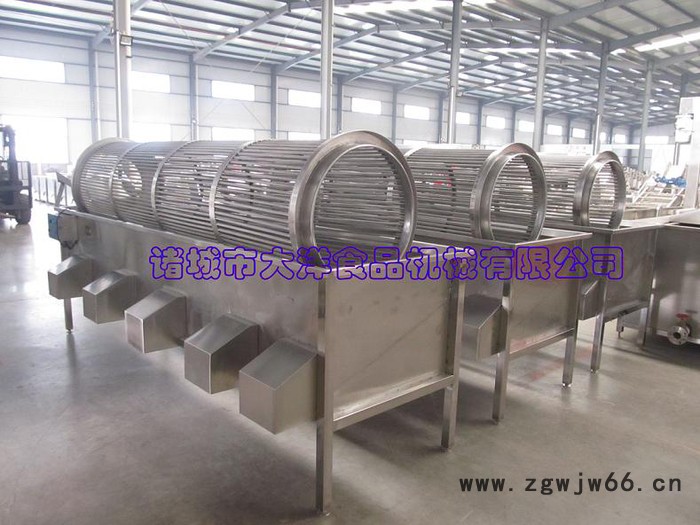 大洋牌全自动滚筒式板栗筛选设备 经济实惠的不锈钢分级机图7