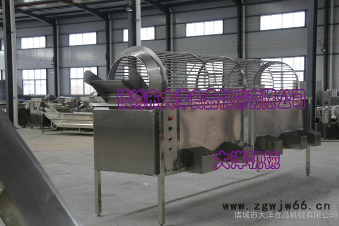 大洋牌全自动滚筒式板栗筛选设备 经济实惠的不锈钢分级机图3