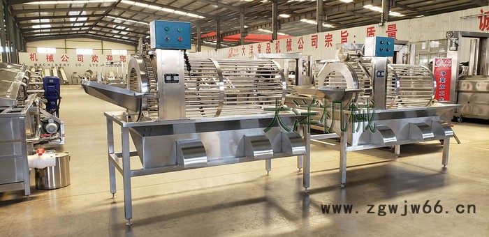 大洋牌全自动滚筒式板栗筛选设备 经济实惠的不锈钢分级机图6