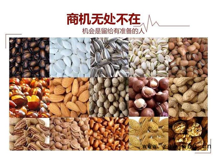 多功能葡萄籽炒货机，食品厂炒货机，滚筒式冬瓜籽炒货机图3