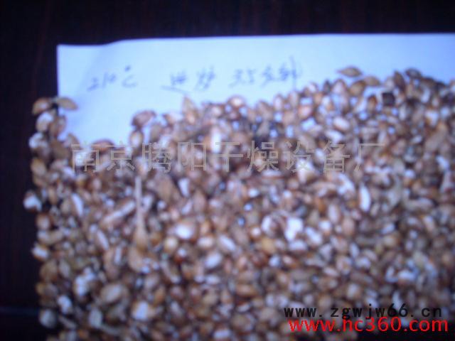 供应全自动炒米机 南京滚筒式电加热提香炒货机图5