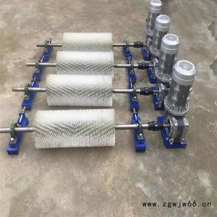 天向 毛刷辊清扫器 输送机毛刷清扫器厂家 滚筒毛刷清扫器价格图6