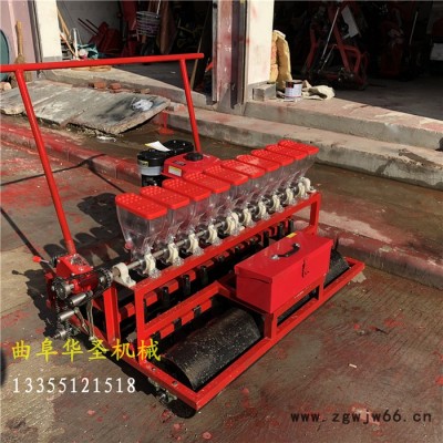 双滚筒播种机 家用蔬菜精播机 可定做任意精播机