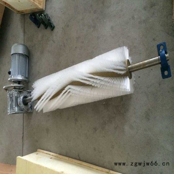 天向输送机毛刷清扫器 滚筒毛刷清扫器 皮带毛刷清扫器批发图5