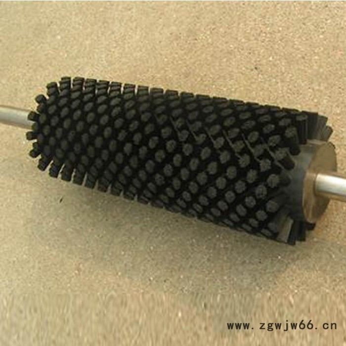 天向输送机毛刷清扫器 滚筒毛刷清扫器 皮带毛刷清扫器批发图4