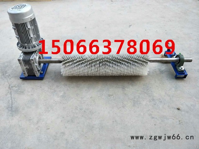 皮带机电动滚筒刷式清扫器AYXQ-B1000 电动毛刷清扫器 旋转式滚刷清扫器图4