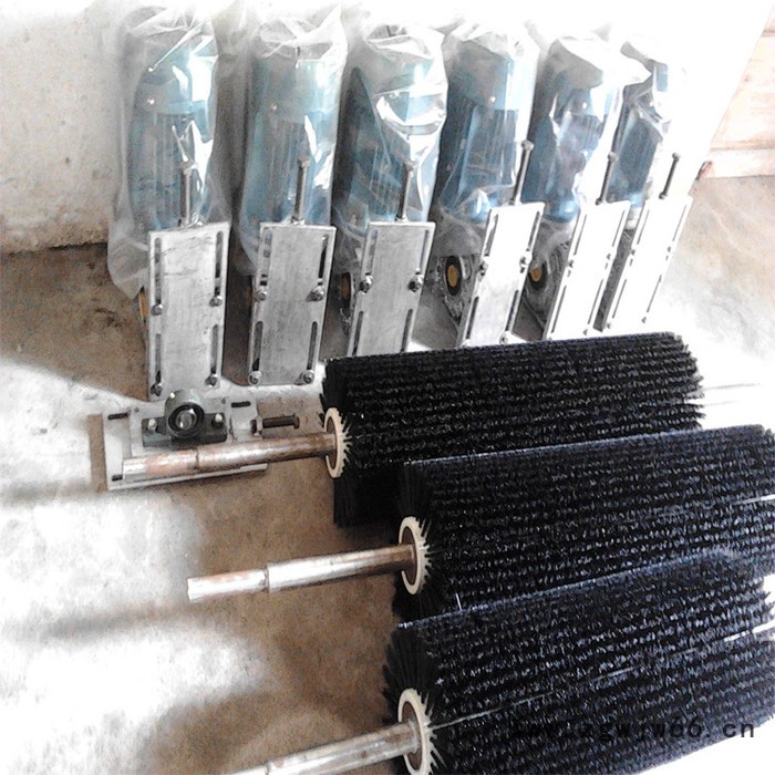 天向滚筒毛刷清扫器 滚筒毛刷清扫器厂家 毛刷辊清扫器图4