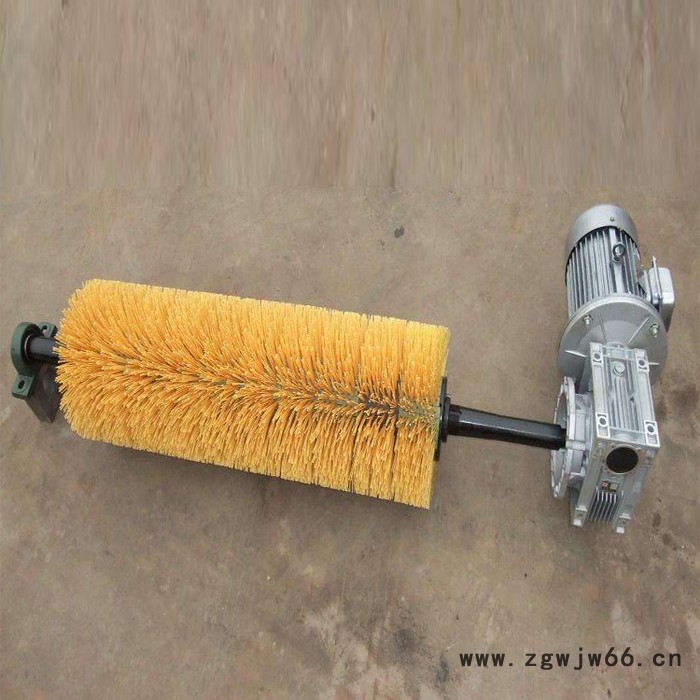 天向滚筒毛刷清扫器 滚筒毛刷清扫器厂家 毛刷辊清扫器图6