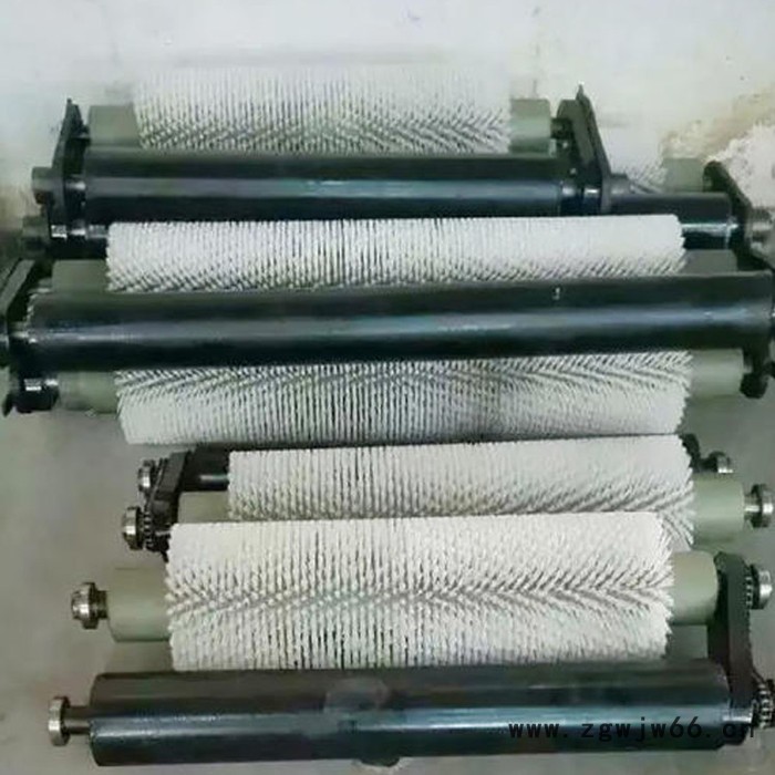 天向滚筒毛刷清扫器 滚筒毛刷清扫器厂家 毛刷辊清扫器图5