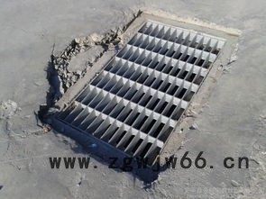 安平久盛钢格板、 镀锌沟盖板、排水井盖图2