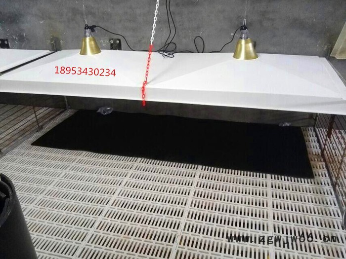 鑫鼎源玻璃钢制品养殖用加温灯罩：整体产床加温罩；单孔加温罩；双控加温罩；养殖设备玻璃钢配件；料塔盖；排污井盖【加工定做】图3