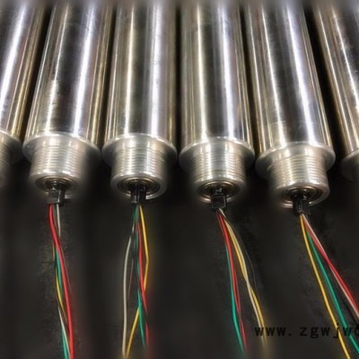 大新GTD60电滚筒-多楔带轮 输送带