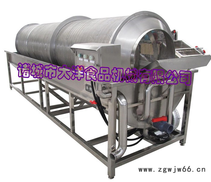 滚筒式大枣清洗机，全自动淘米设备图4