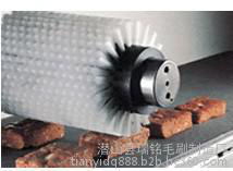 全自动洗蛋机毛刷辊 工业轴滚筒 安徽毛刷专业定制 销售图2