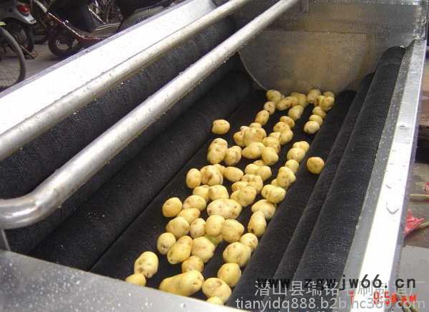 全自动洗蛋机毛刷辊 工业轴滚筒 安徽毛刷专业定制 销售图3