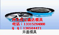 **井盖塑料模具（价格、订购）