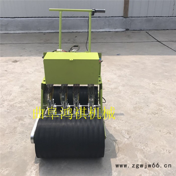 毕节手推式蔬菜精播机 蔬菜精播机 双滚筒式多行蔬菜播种机H图2