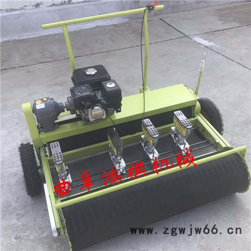 毕节手推式蔬菜精播机 蔬菜精播机 双滚筒式多行蔬菜播种机H图6