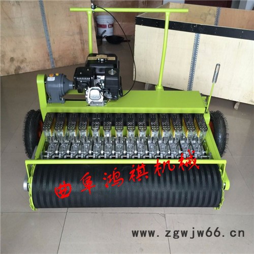 毕节手推式蔬菜精播机 蔬菜精播机 双滚筒式多行蔬菜播种机H
