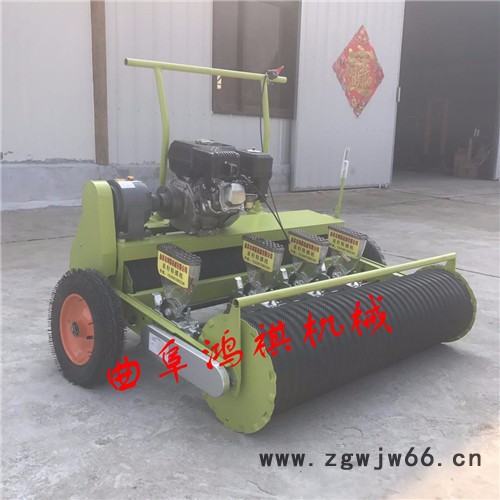 毕节手推式蔬菜精播机 蔬菜精播机 双滚筒式多行蔬菜播种机H图7