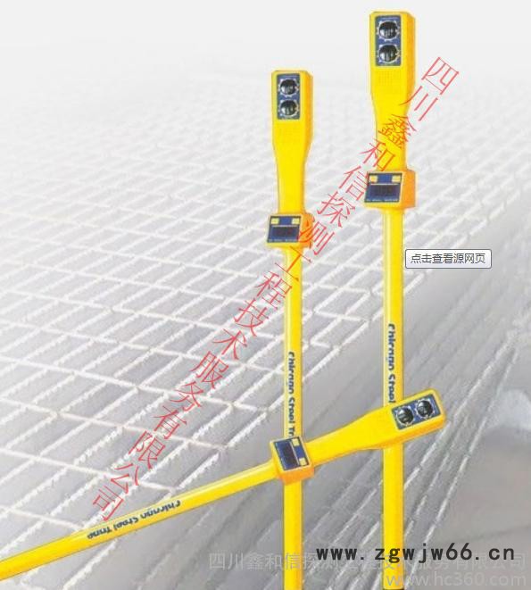 井盖/阀门探测仪 RD316图2