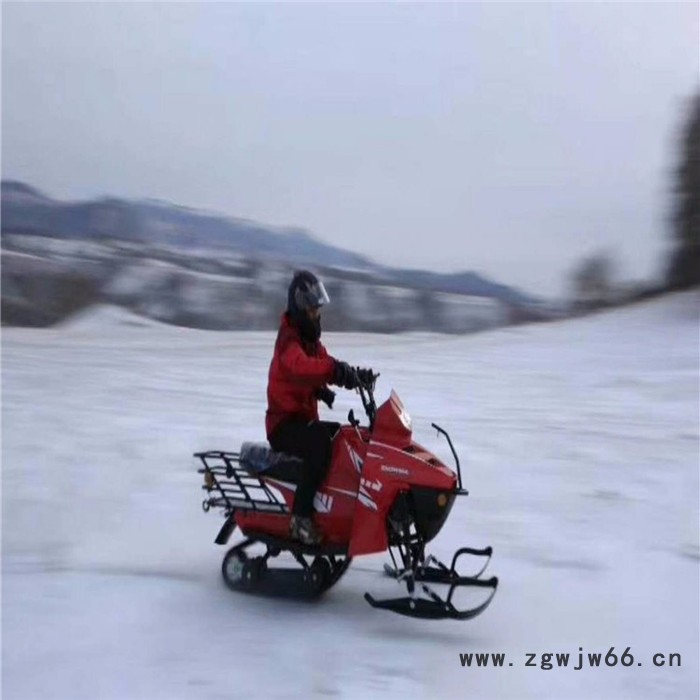 山东瀚雪漂移大兄弟 极速卡丁车 雪地滚筒 冰壶图7