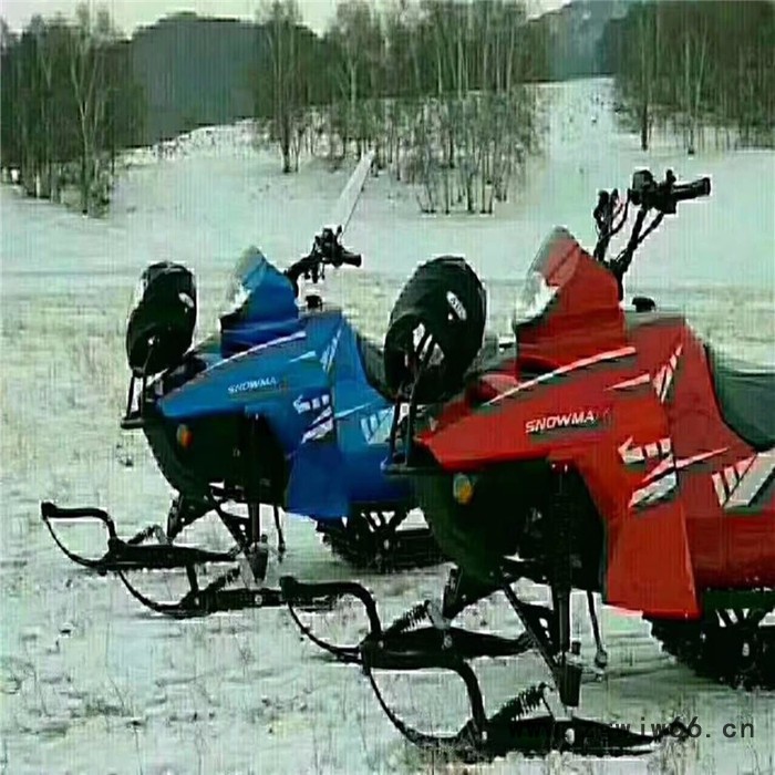 山东瀚雪漂移大兄弟 极速卡丁车 雪地滚筒 冰壶图6