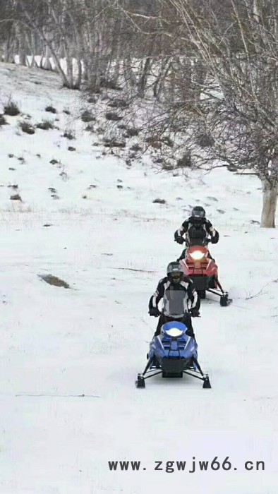 山东瀚雪双人滑雪圈 雪地滚筒 亲子卡丁车图6