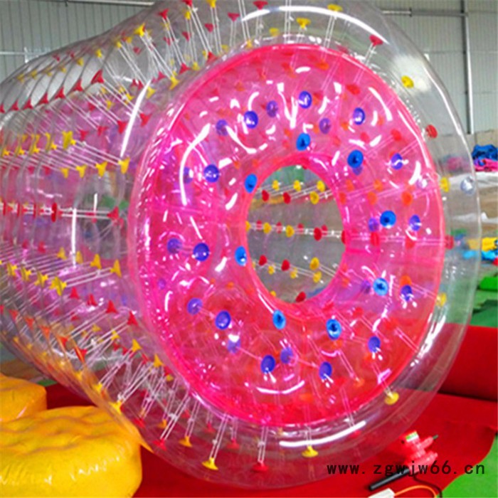 海豚划水水上乐园  豹伟水上滚筒游艺设施 水上漂水上游乐设备图3