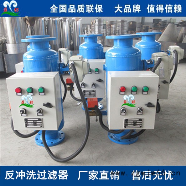 淮阴反冲洗排污过滤器 卧式直通除污器图6