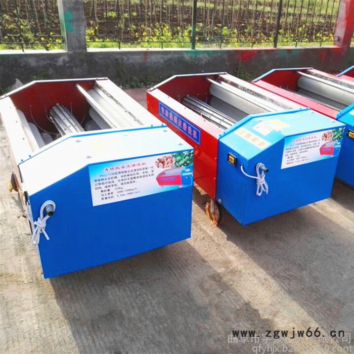 青皮核桃去皮清洗机 自动青核桃脱皮机 滚筒青核桃脱皮机图3