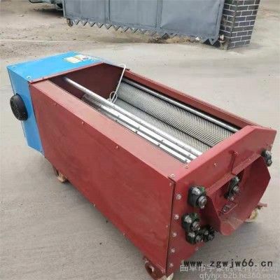 青皮核桃去皮清洗机 自动青核桃脱皮机 滚筒青核桃脱皮机