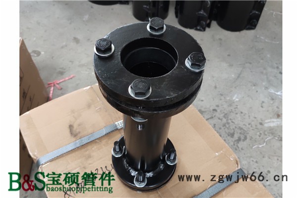 钢塑管件 伸缩直接 Ф200可任意定制尺寸大小 活接直通图5