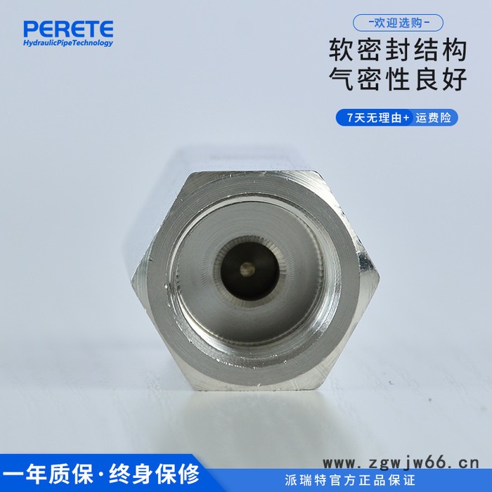 派瑞特 304内丝直通止逆阀 内丝螺纹单向止回阀 2分3分4分6分图3